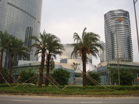 金皇冠中国大酒店主图