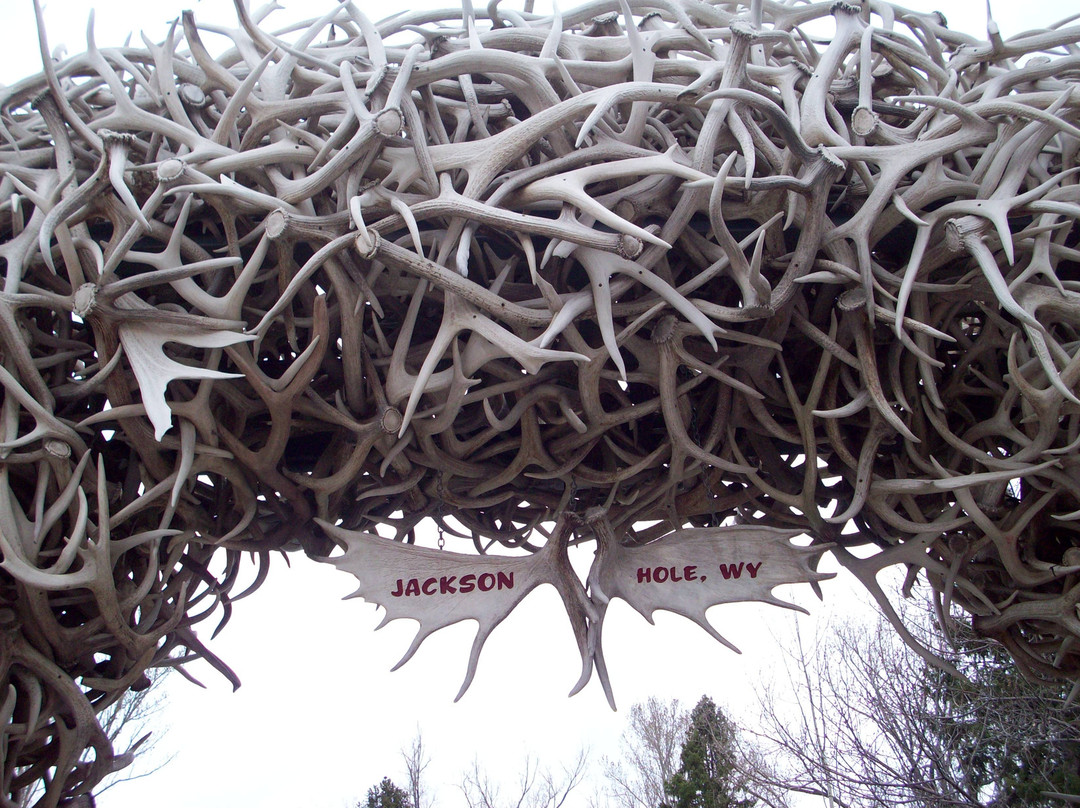 BrushBuck Wildlife Tours-杰克逊必去景点