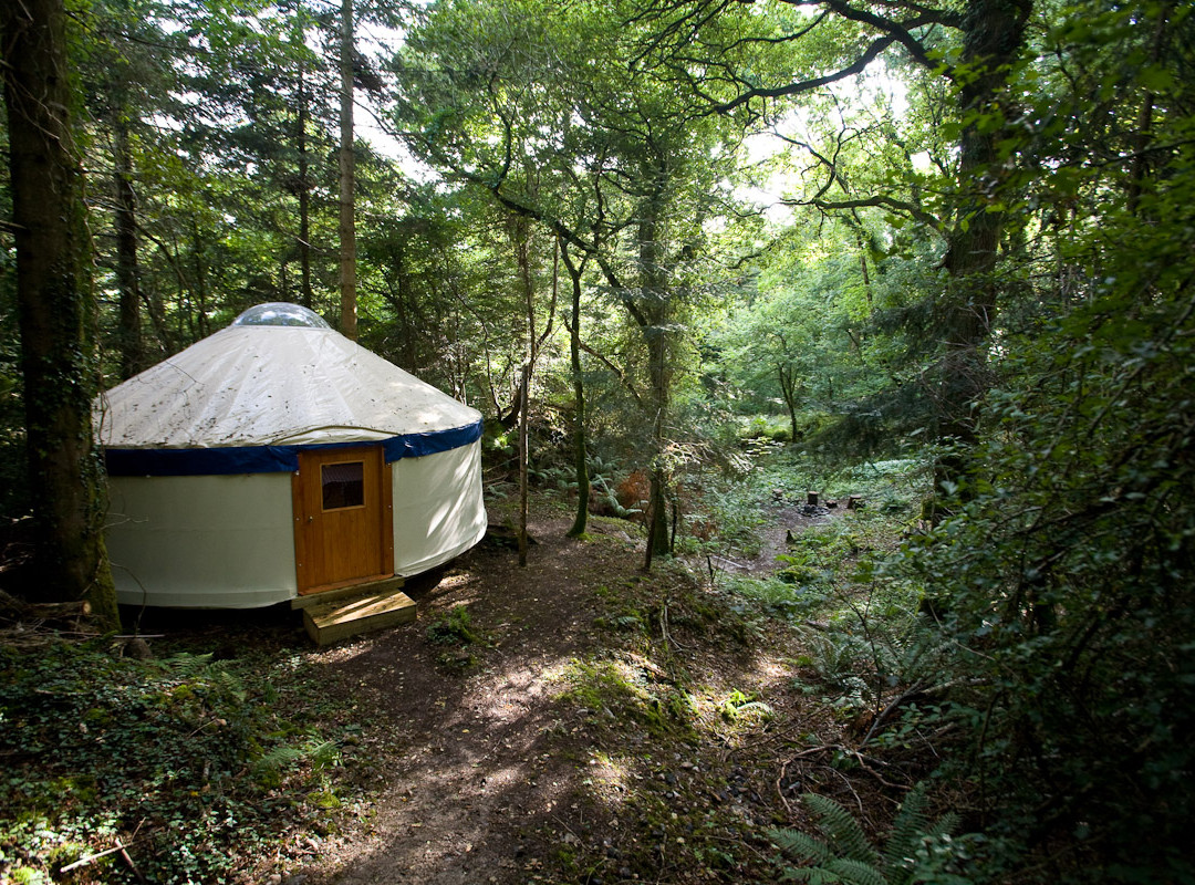 Yurtcamp Glamping Devon