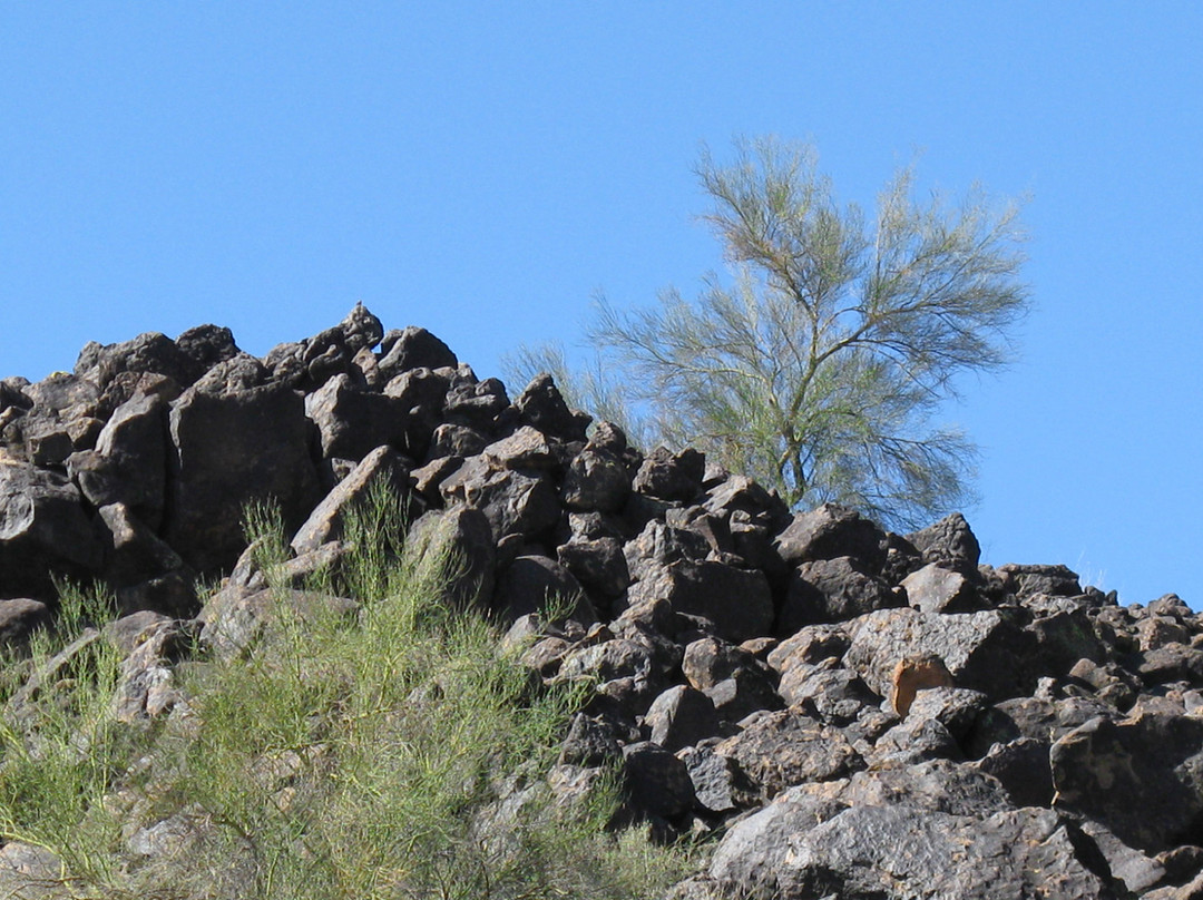 Deer Valley Petroglyph Preserve-格兰岱尔必去景点