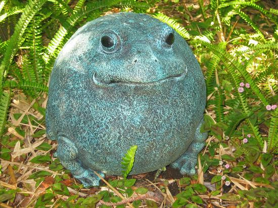 雨林度假酒店主图