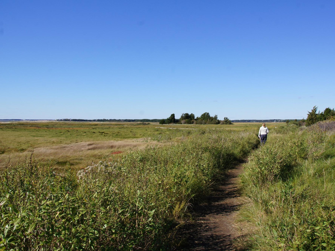 Mass Audubon Wellfleet Bay Wildlife Sanctuary景点图片