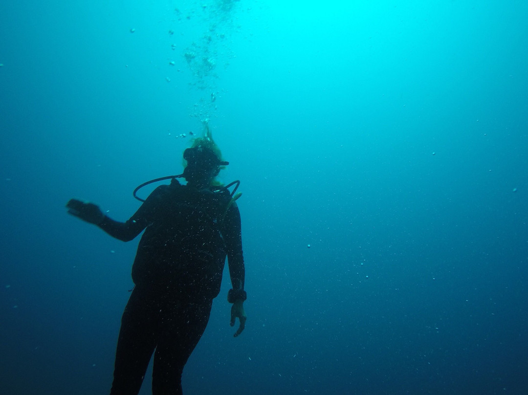 A Papa D'Lo Plongee-Saint-Pierre必去景点