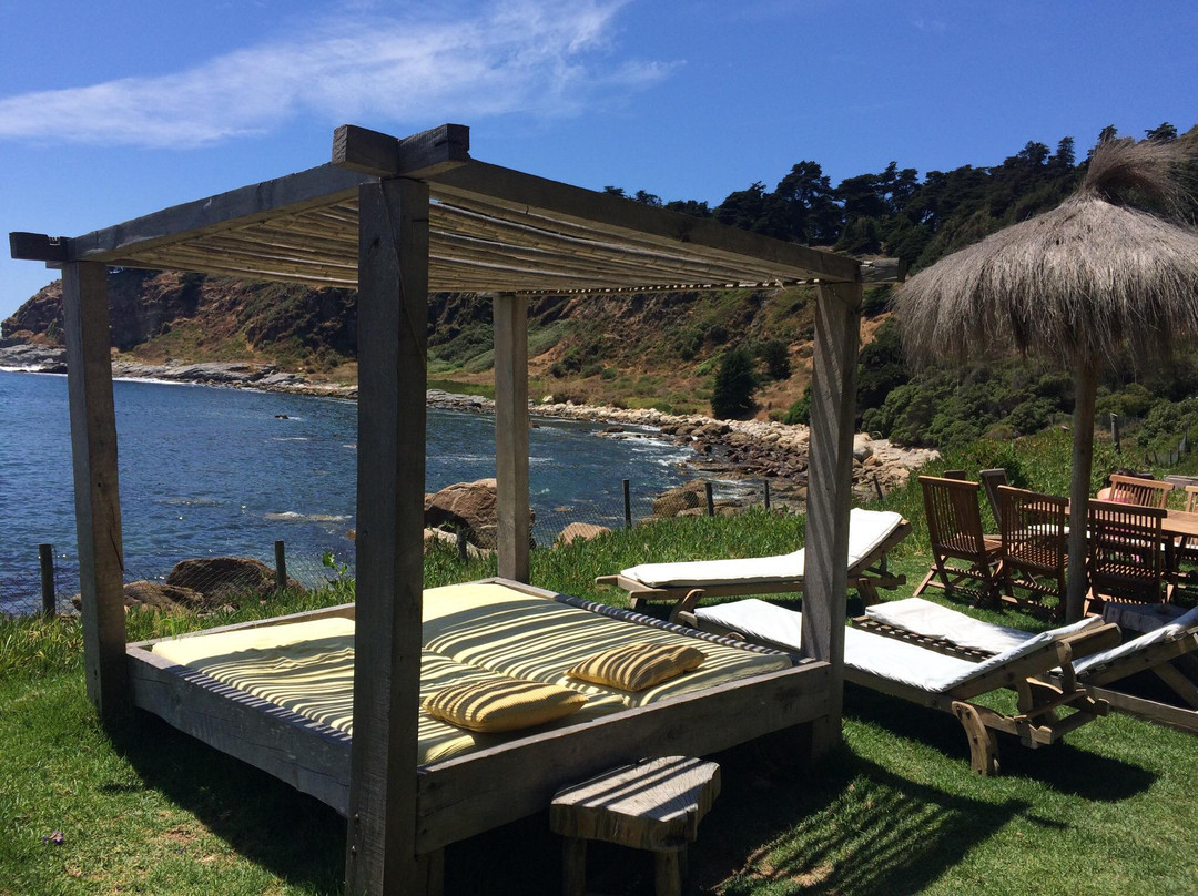 Horcón餐馆和美食-Club El Tebo