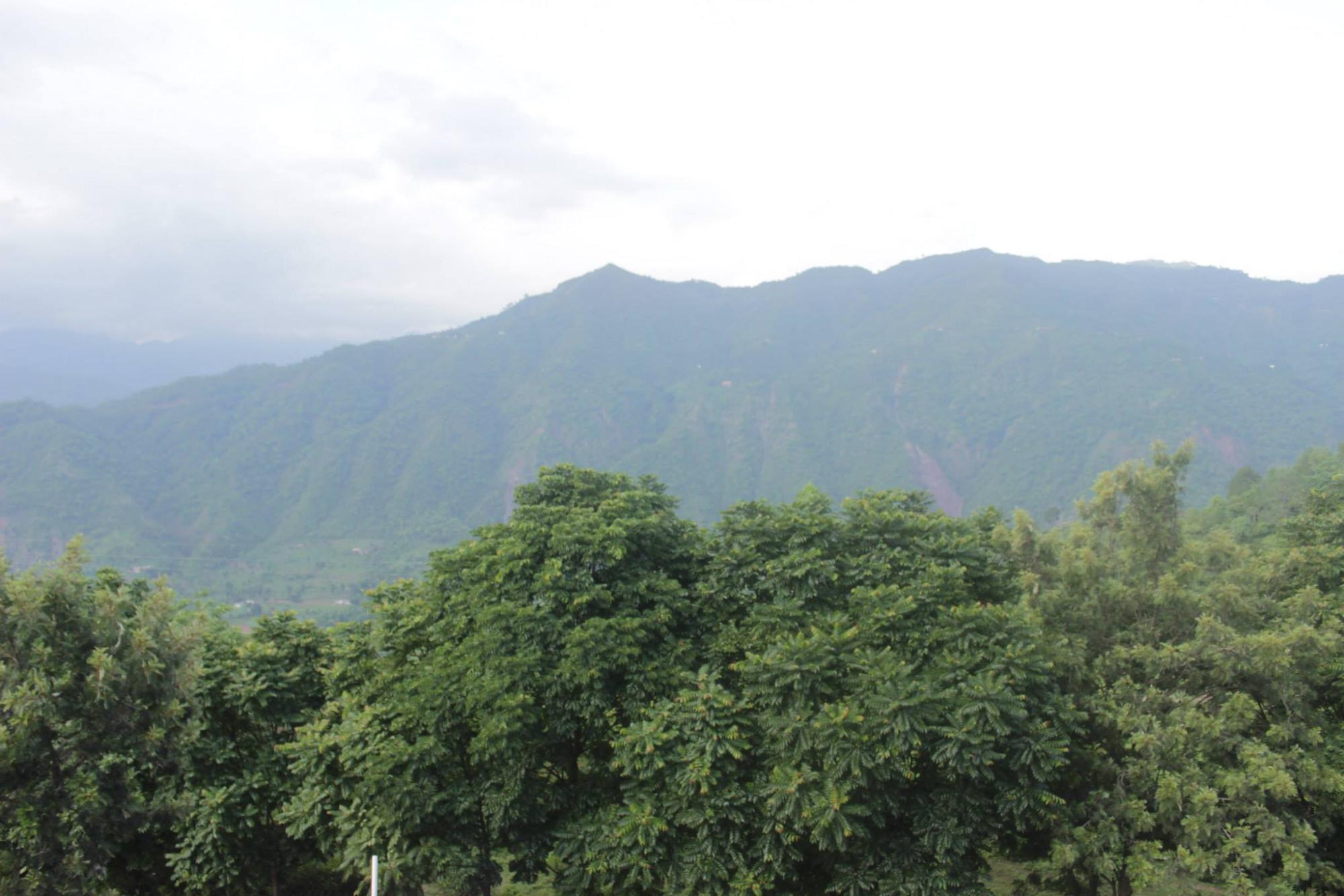 Nature Resorts-客卧
