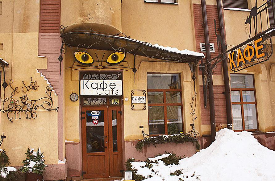 THE CATS