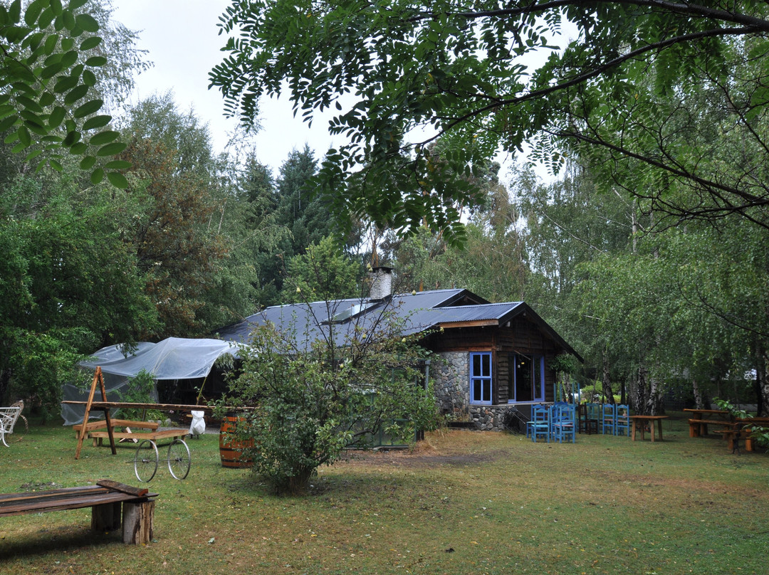 Chavela Cerveza Amable