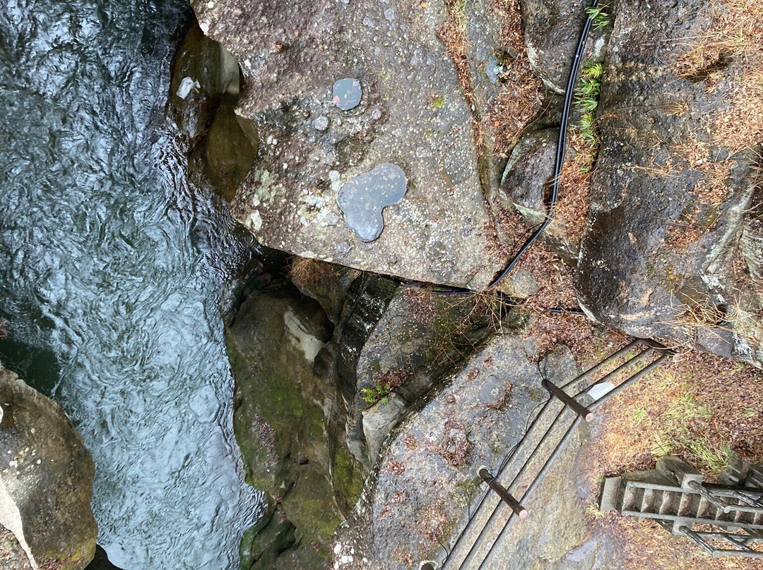 Nozokibashi Bridge Heart-仙台市必去景点