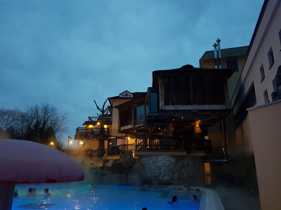 Sieben Welten Terme &  Spa Resort-Künzell必去景点