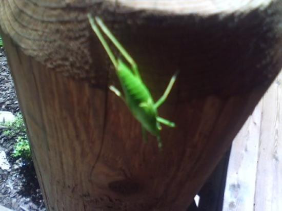 Dunlap旅游攻略图片