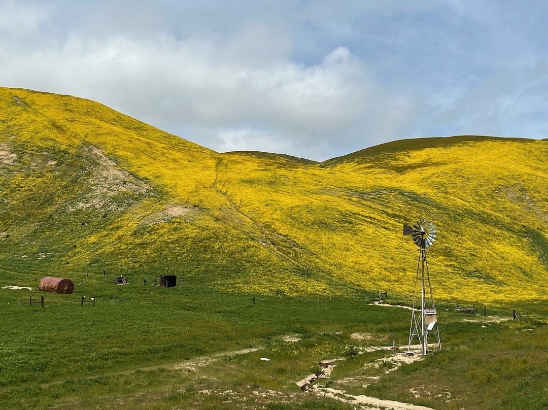 Carrizo Plain National Monument-Maricopa必去景点