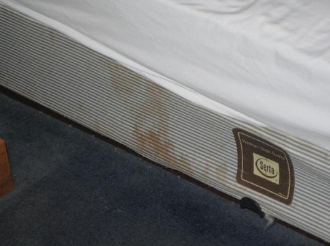 Courtesy Inn Atlantic City Airport