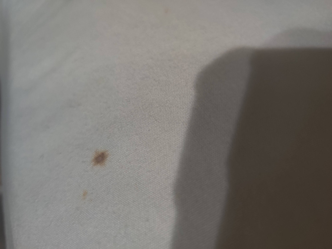 安大略机场艾尔斯套房酒店主图