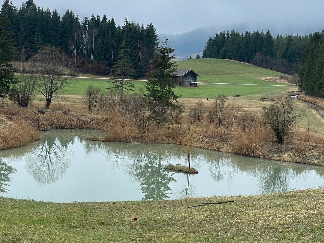 Landhotel Zum Bad主图