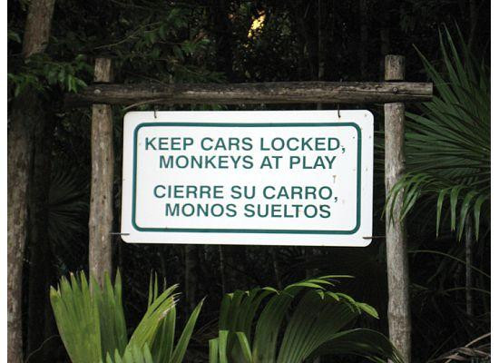 Aktun Chen-艾库玛尔必去景点