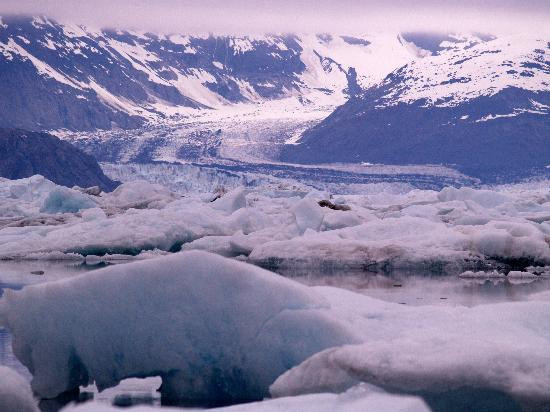 哥伦比亚冰川-瓦尔迪兹必去景点