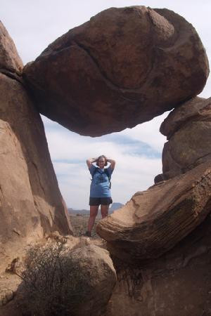Chihuahuan Desert景点图片