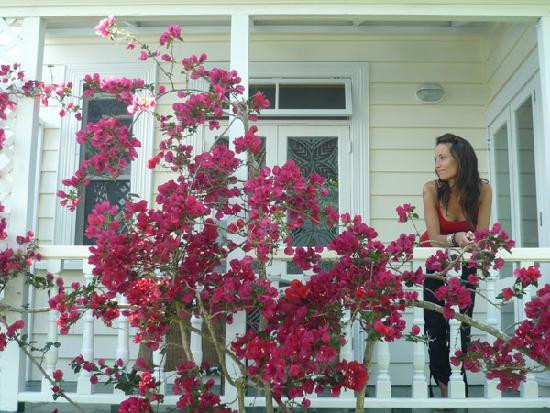 庞森比-奥克兰中心地区必去景点