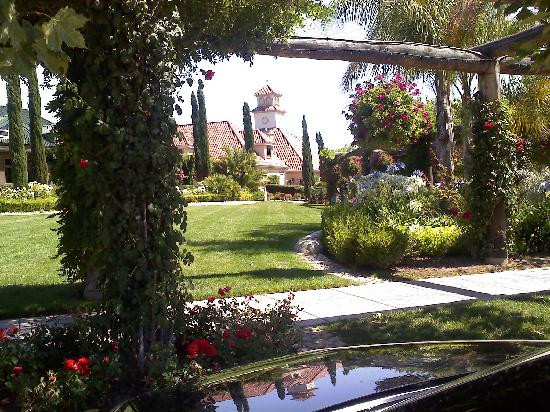 South Coast Winery-特曼库拉必去景点