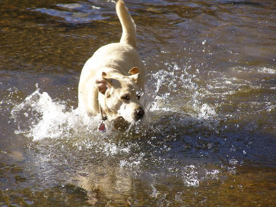 New River Trail State Park-Max Meadows必去景点