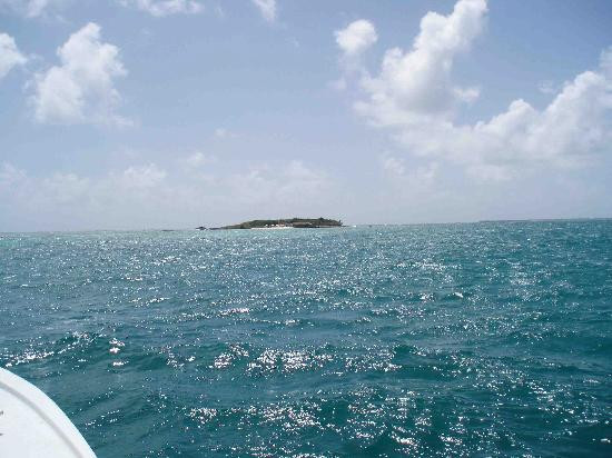 Miguel's Holiday Adventure-圣 约翰必去景点