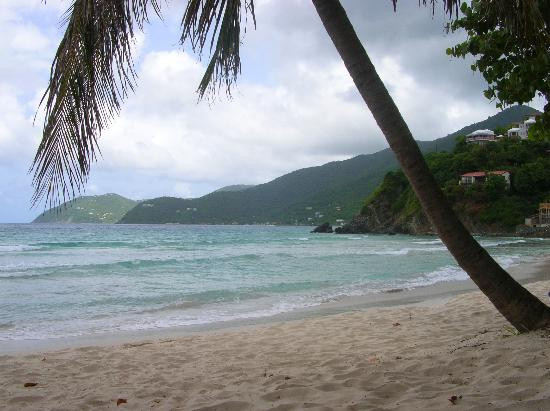 Long Bay Beach-托土拉必去景点