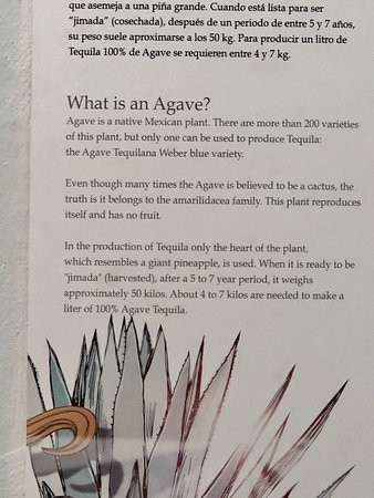 Museo Nacional del Tequila MUNAT-特基拉必去景点