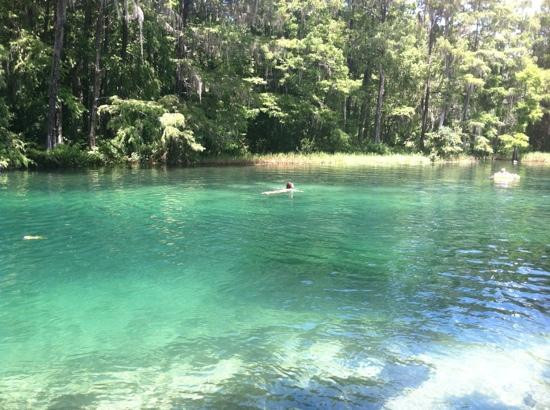 Rainbow River-Dunnellon必去景点