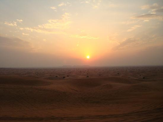 Best Desert Safari Dubai-迪拜必去景点