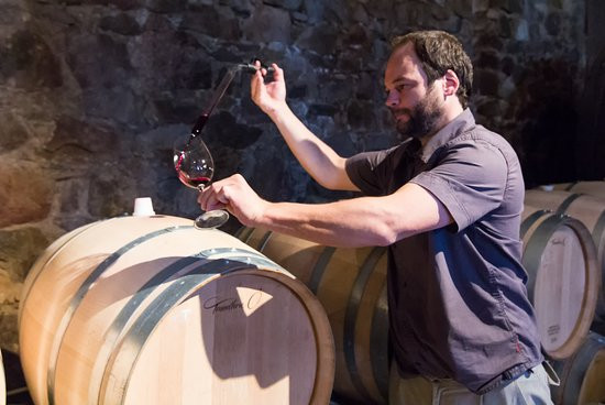 Borravino Wine Tours Argentina-门多萨必去景点