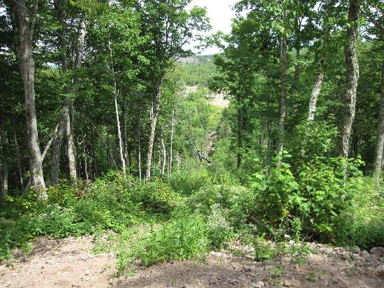 Anchors Above Zipline-新斯科舍必去景点