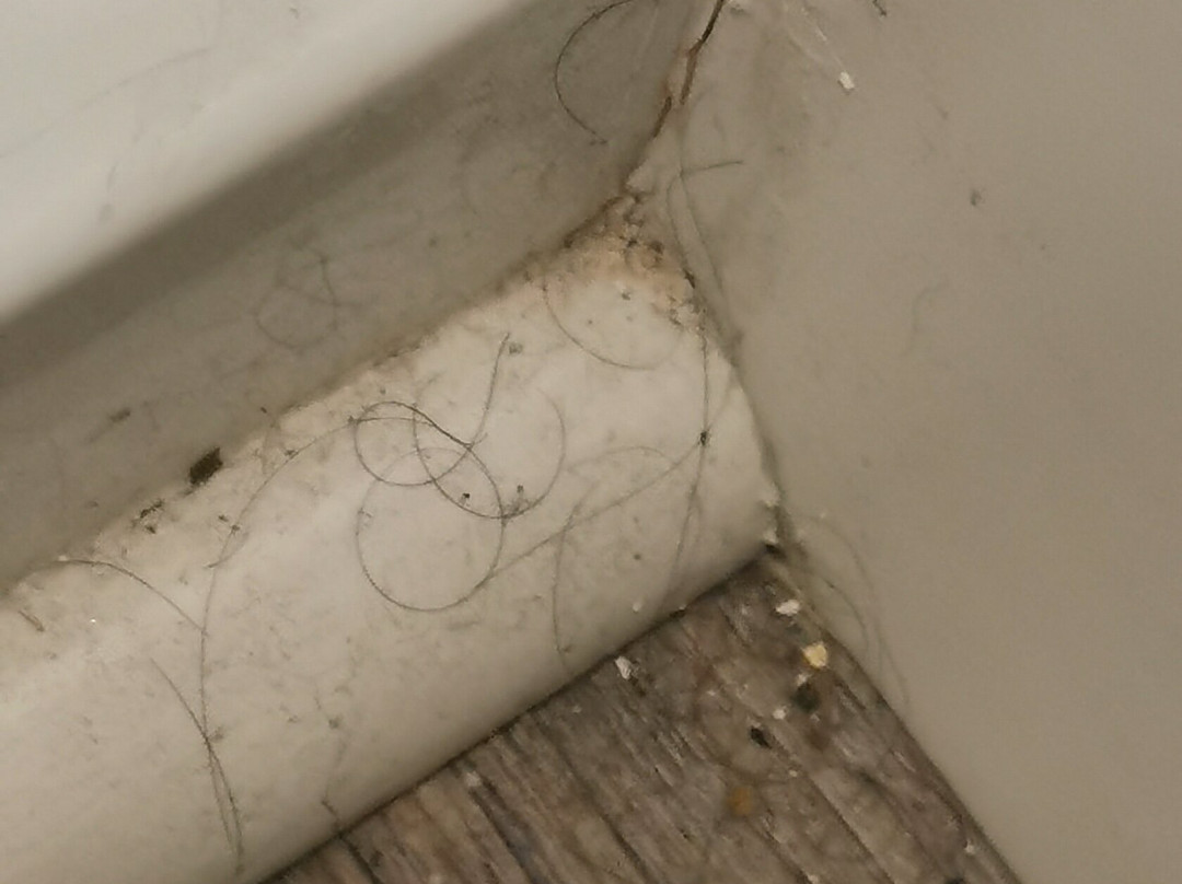 Stay Express Inn Chattanooga主图