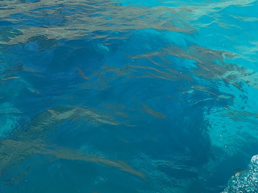 Excursioni in Barca Con Tony-Isola Delle Femmine必去景点