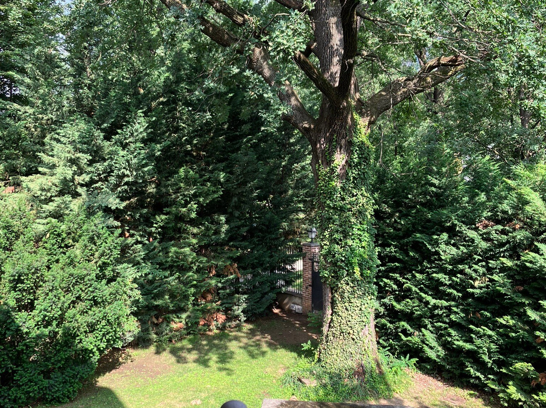 Villa Mirano Bed & Breakfast主图