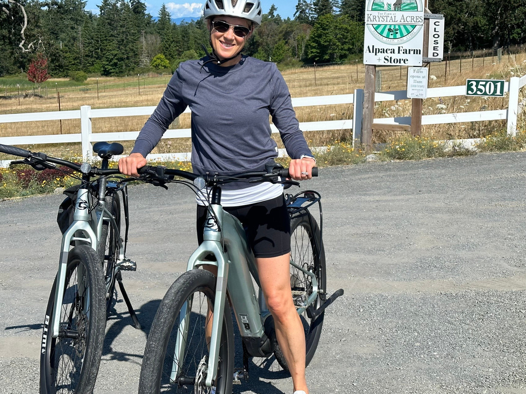 Meat Machine Cycles-星期五港湾必去景点