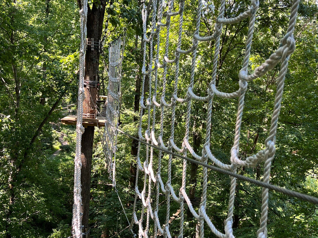 The Adventure Park At Sandy Spring-Sandy Spring必去景点