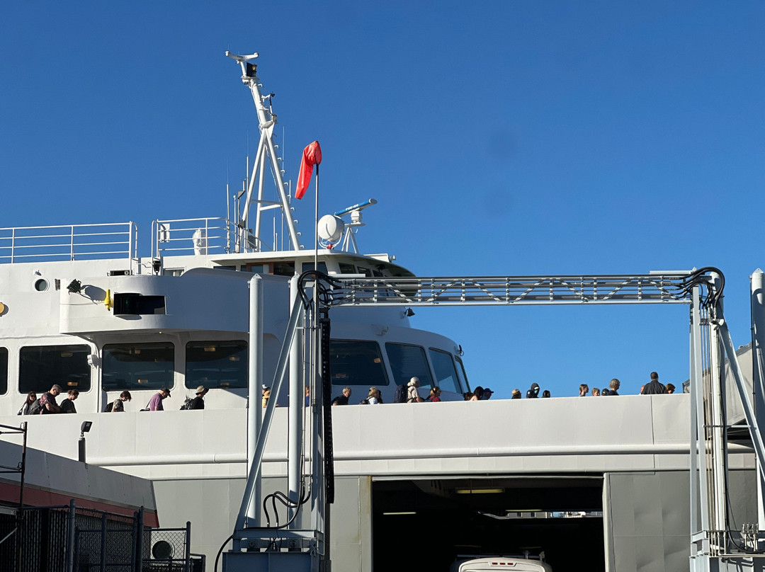 Black Ball Ferry Line景点图片