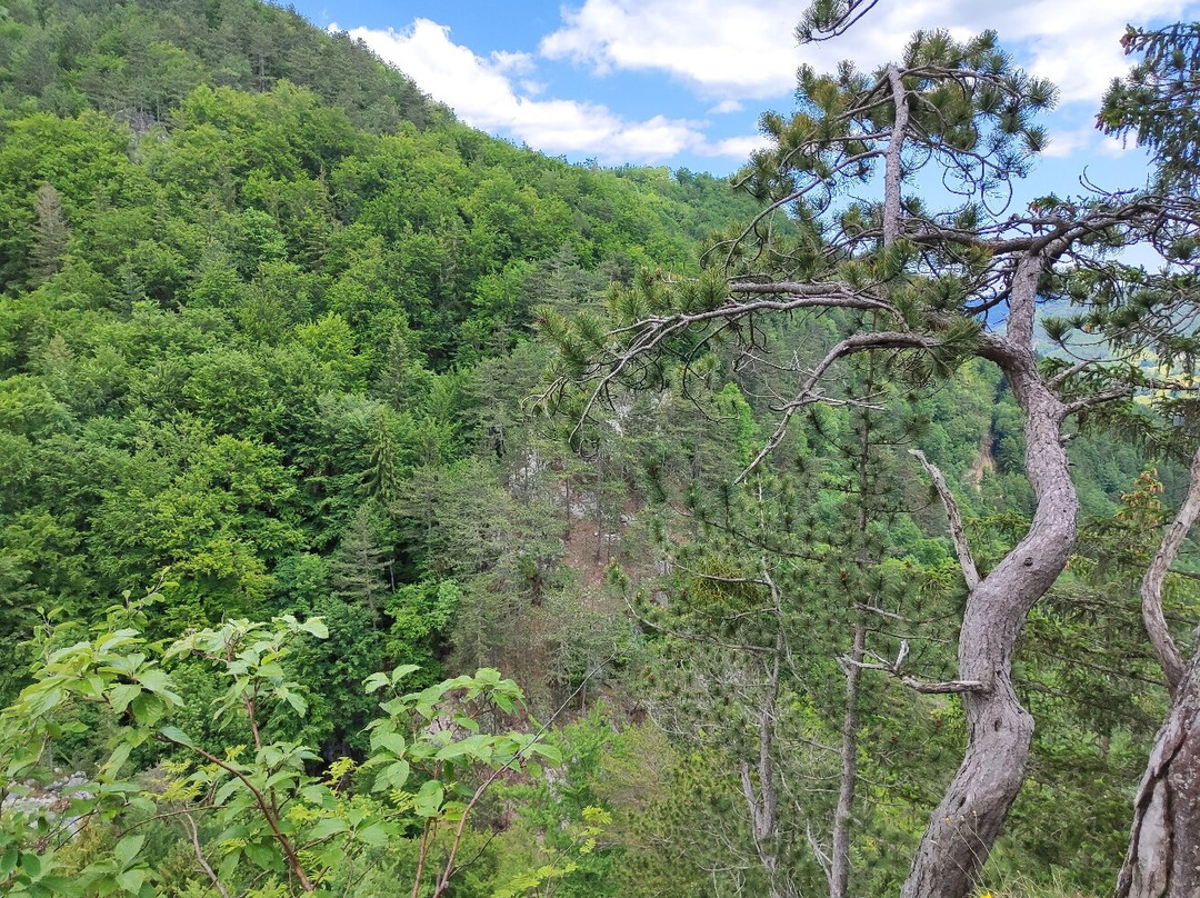 Steinwandklamm-Muggendorf必去景点