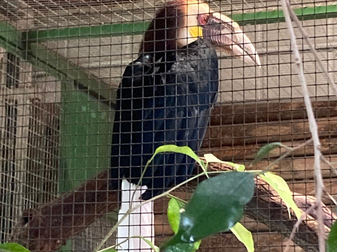 Tierpark Gettorf景点图片