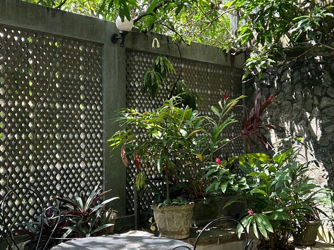 Mount Lodge Boutique Hotel主图