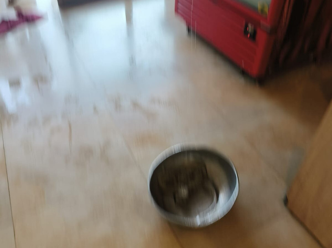 La Fortuna Resort and Spa主图