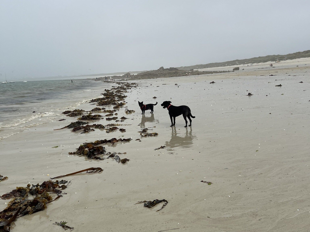 Plage de Keremma景点图片