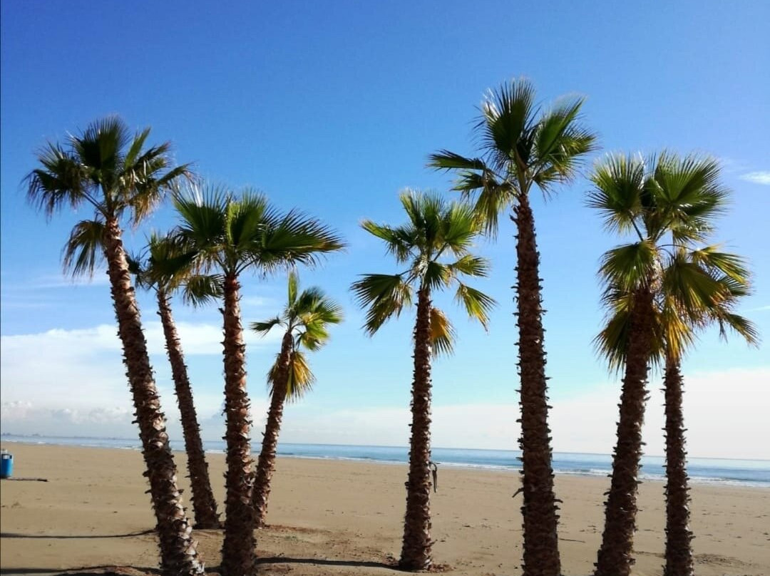 Platja De Canet D'en Berenguer景点图片