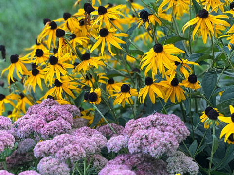 Shore Acres Inn & Restaurant主图