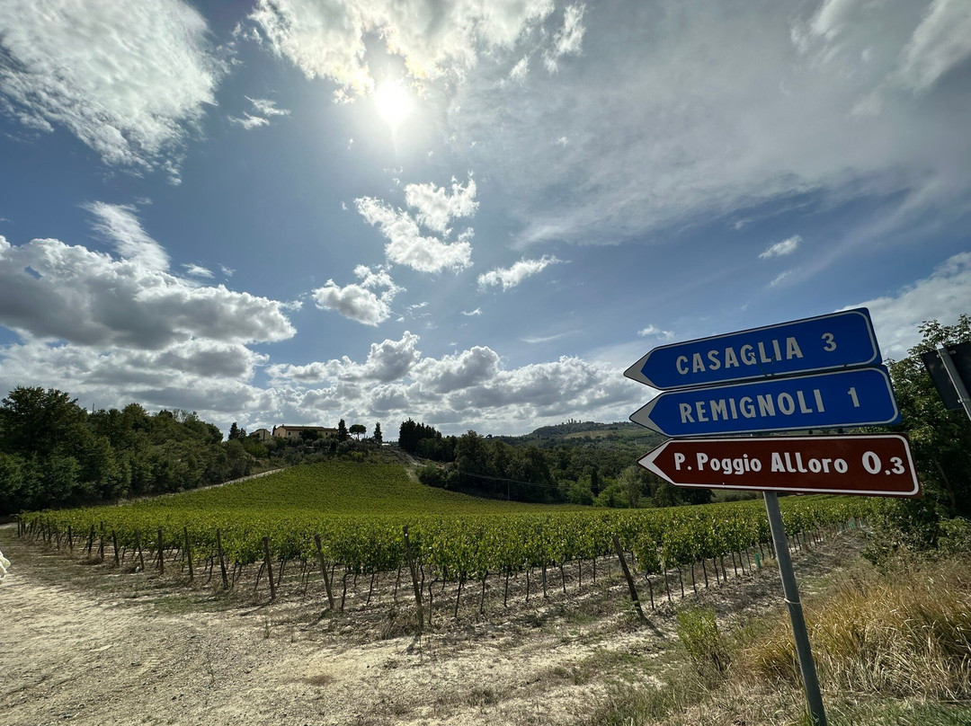 Francesco Tour-格罗塞托必去景点