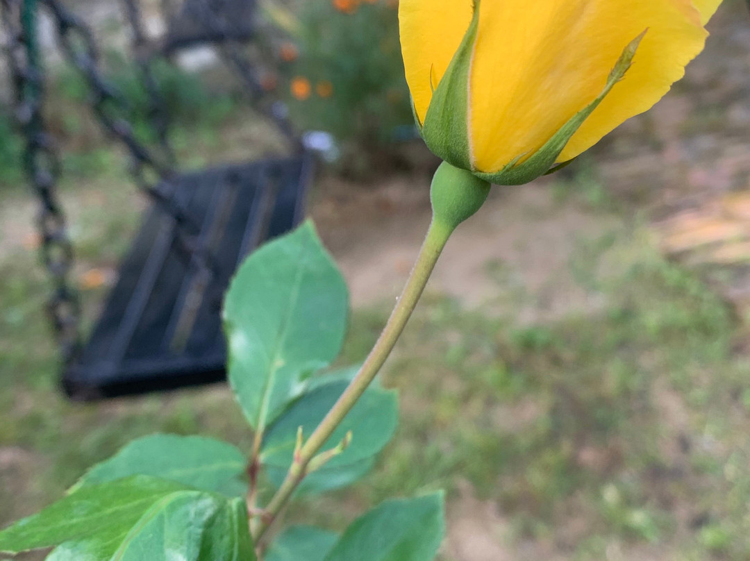 The Green Village Eco Resort主图