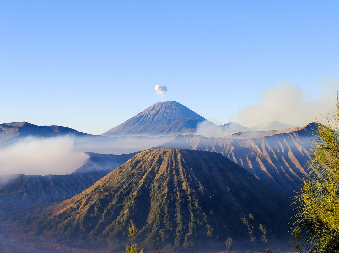 Jogja Indo Tours景点图片