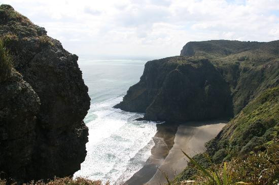 TIME Unlimited Tours-奥克兰中心地区必去景点
