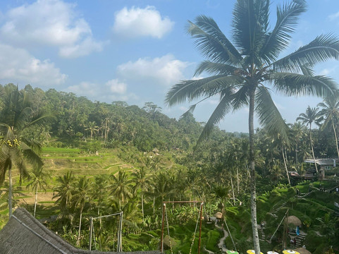 Bali Paradise Tours-登巴萨必去景点