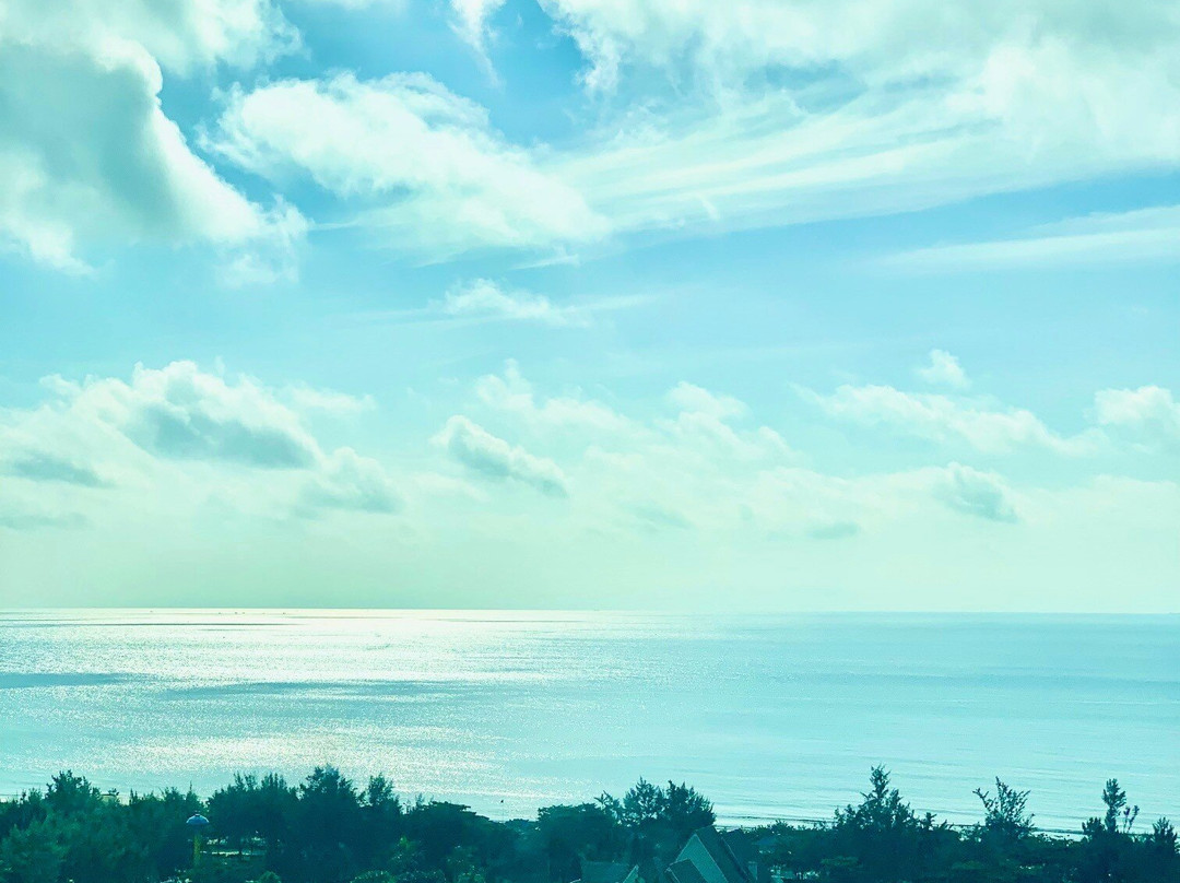 Bãi Biển Vũng Tàu-头顿必去景点